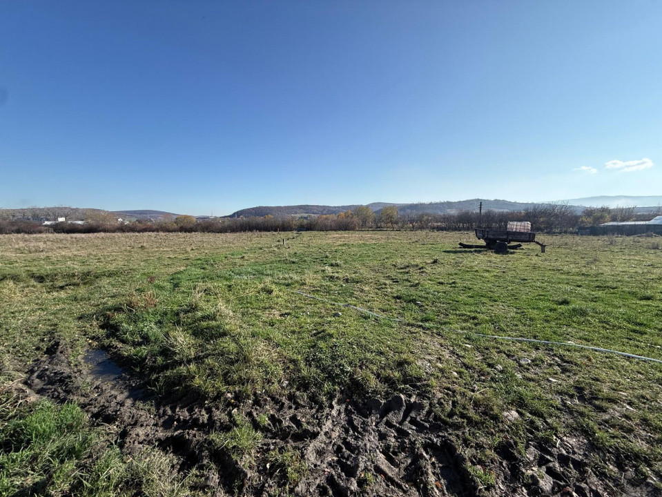 NOU! Teren intravilan pentru dezvoltare industriala/hale, 35 eur/mp