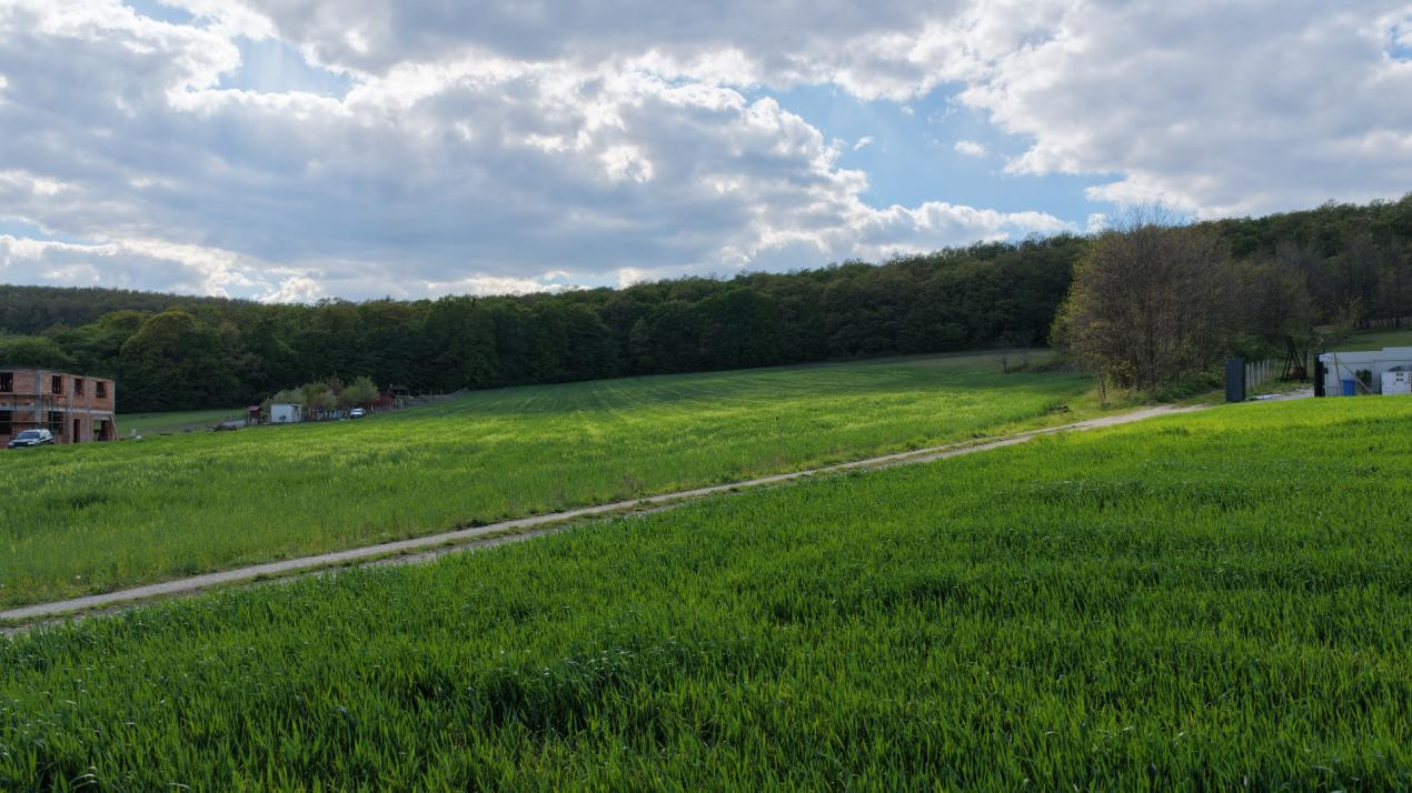  Teren INTRAVILAN cu PUZ, 2.200 eur/ar, rezidental, str. Razboieni - Centura